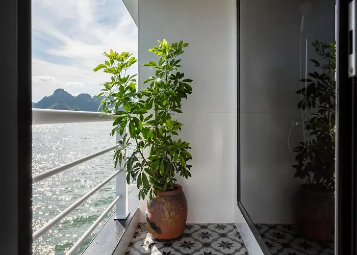 Botel Secret Cruise